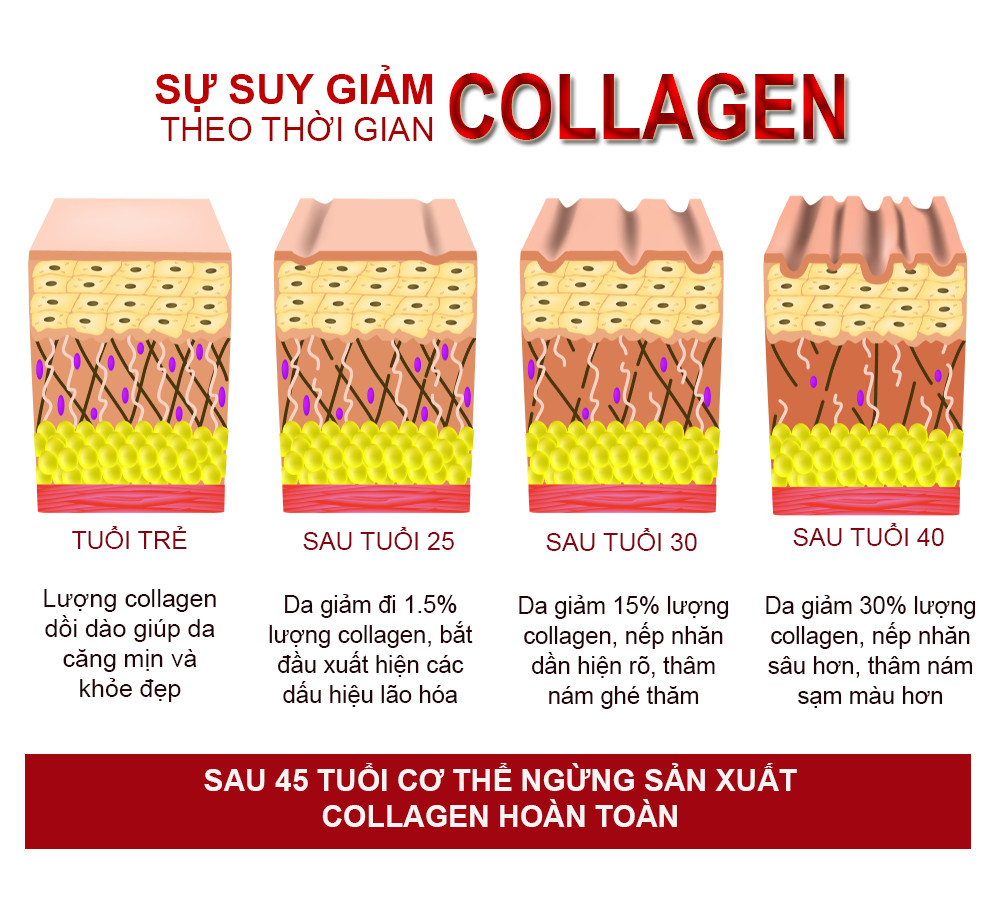 sự suy giảm collagen